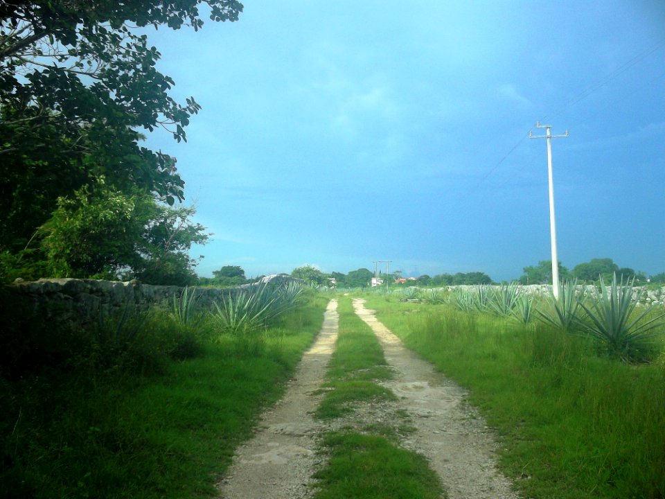 Poccheiná, Yucatán (02)