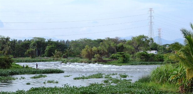 Pescador (165168747) photo