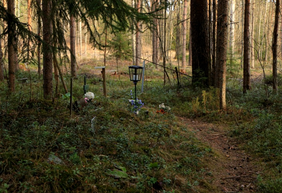 Pet Cemetery Hiironen Oulu 20160507 03