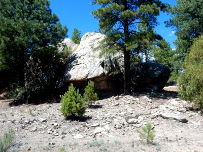 Petaca Schist