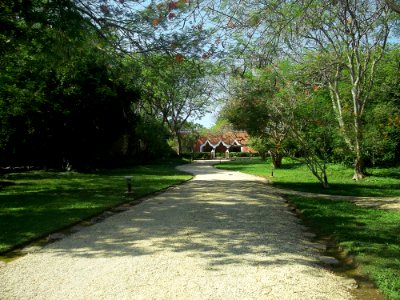 Petac, Yucatán (04) photo