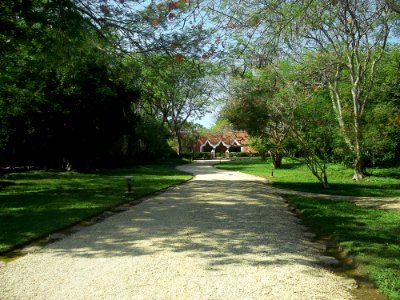 Petac, Yucatán (04)
