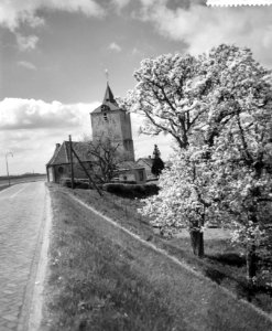 Perstocht langs de bloeiende Betuwe, boomgaard in bloei bij Doodewaard, Bestanddeelnr 911-1910
