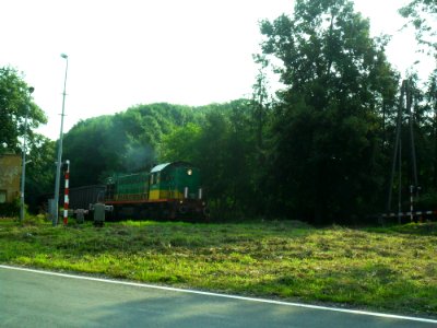 Pociąg na przejeździe kolejowym na ulicy Rybnickiej w Raciborzu