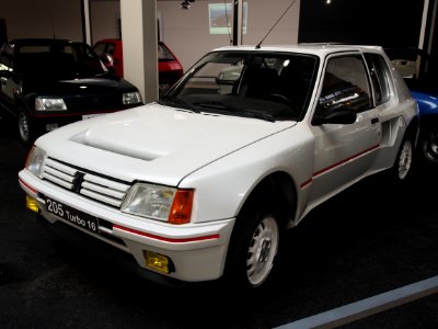 Peugeot 205 Turbo 16 photo 2