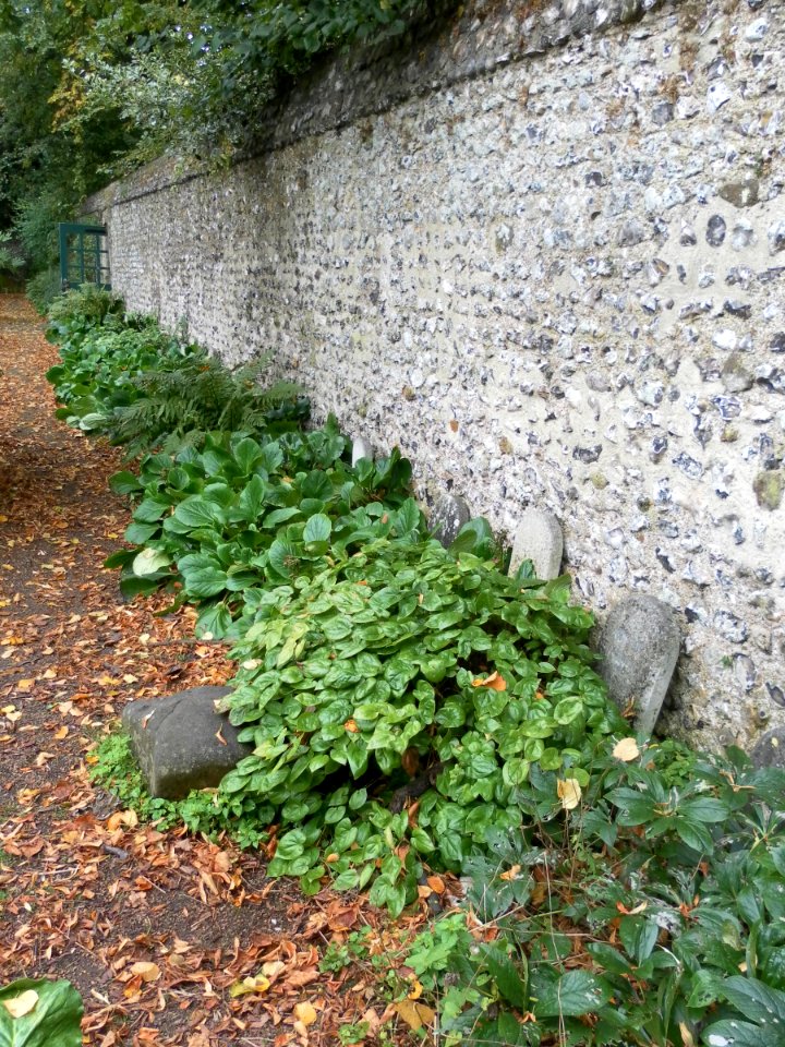Pet Cemetery in Preston Manor Gardens, Preston Drove, Preston Village, Brighton (September 2011) (3)