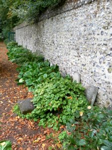 Pet Cemetery in Preston Manor Gardens, Preston Drove, Preston Village, Brighton (September 2011) (3)