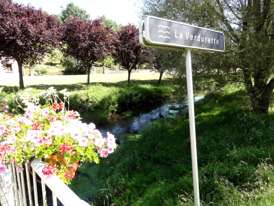Pettonville (M-et-M) la Verdurette (02)