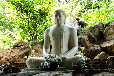 Buddha sri lanka mahamevnawa