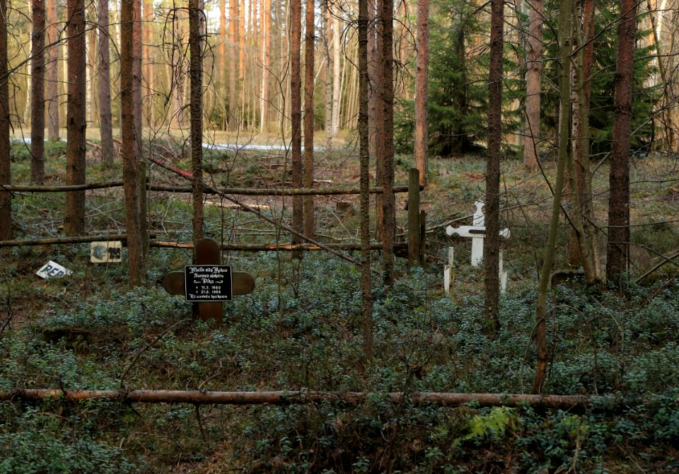 Pet Cemetery Hiironen Oulu 20160507 02