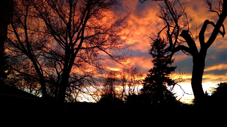 Landscape silhouette evening photo