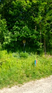 Pesaken-wegkruis Kampsweg-Schansenbergweg-Engelenweg (2)