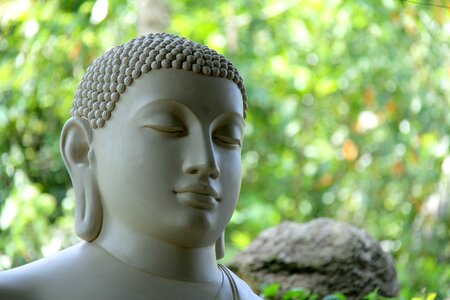 Sri lanka mahamevnawa green buddha