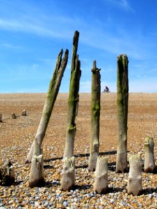 Pett Level Beach, sea defences 4