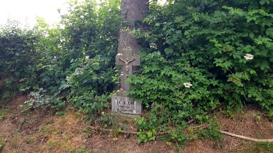 Pesaken-wegkruis Ootswinkelweg (1)