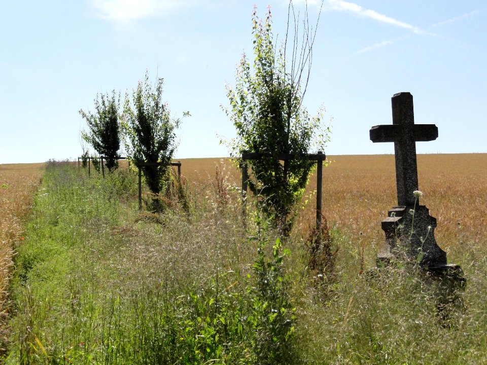 Pettonville (M-et-M) paysage avec croix de chemin
