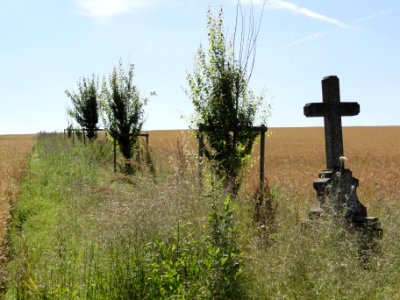 Pettonville (M-et-M) paysage avec croix de chemin