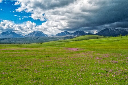 Fax the northwest part meadow mongolia photo