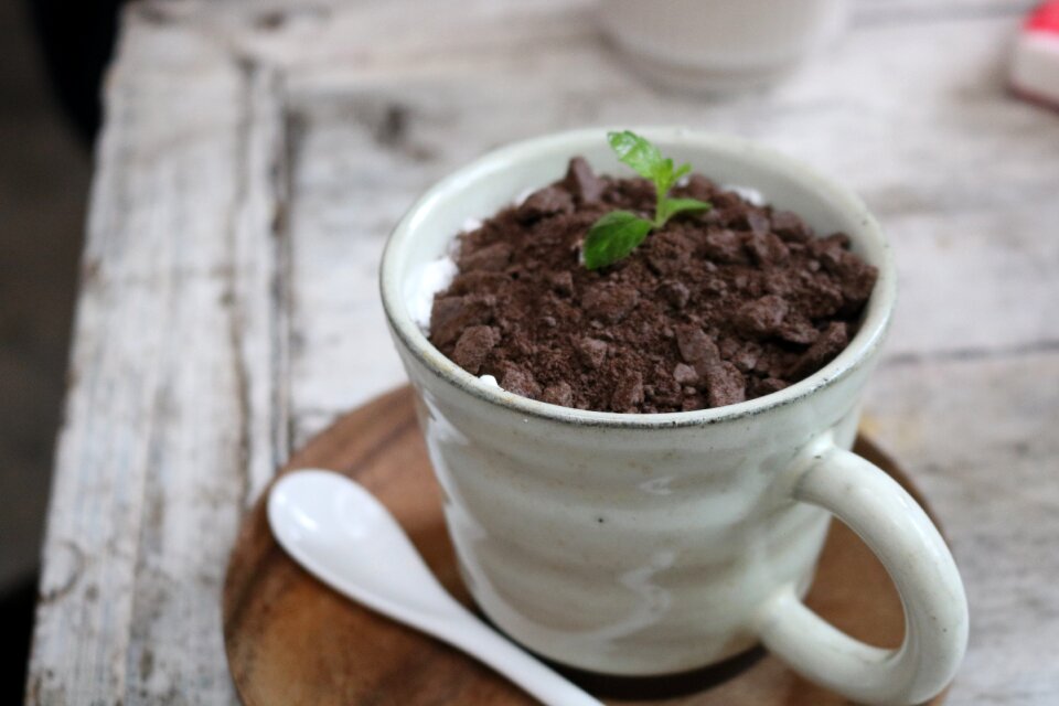 Coffee afternoon tea cup