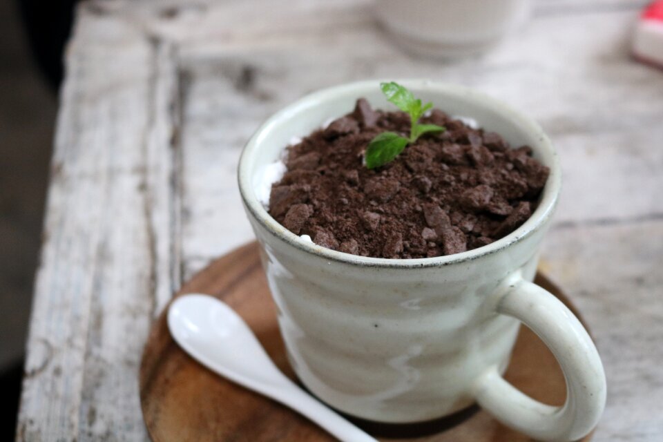 Coffee afternoon tea cup photo