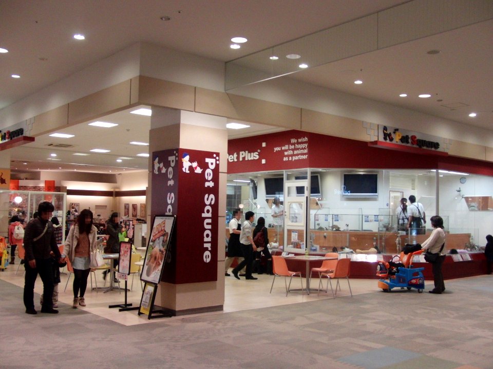 PETCITY in ÆON MALL Dainichi 2