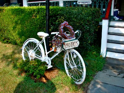 PharosBikeCapeMayNJ
