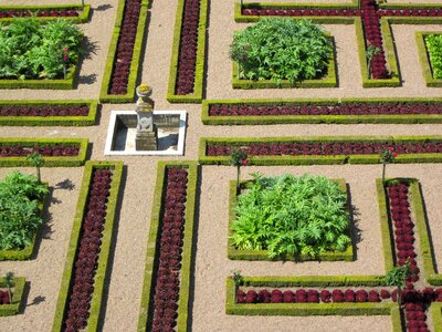 France castle villandry