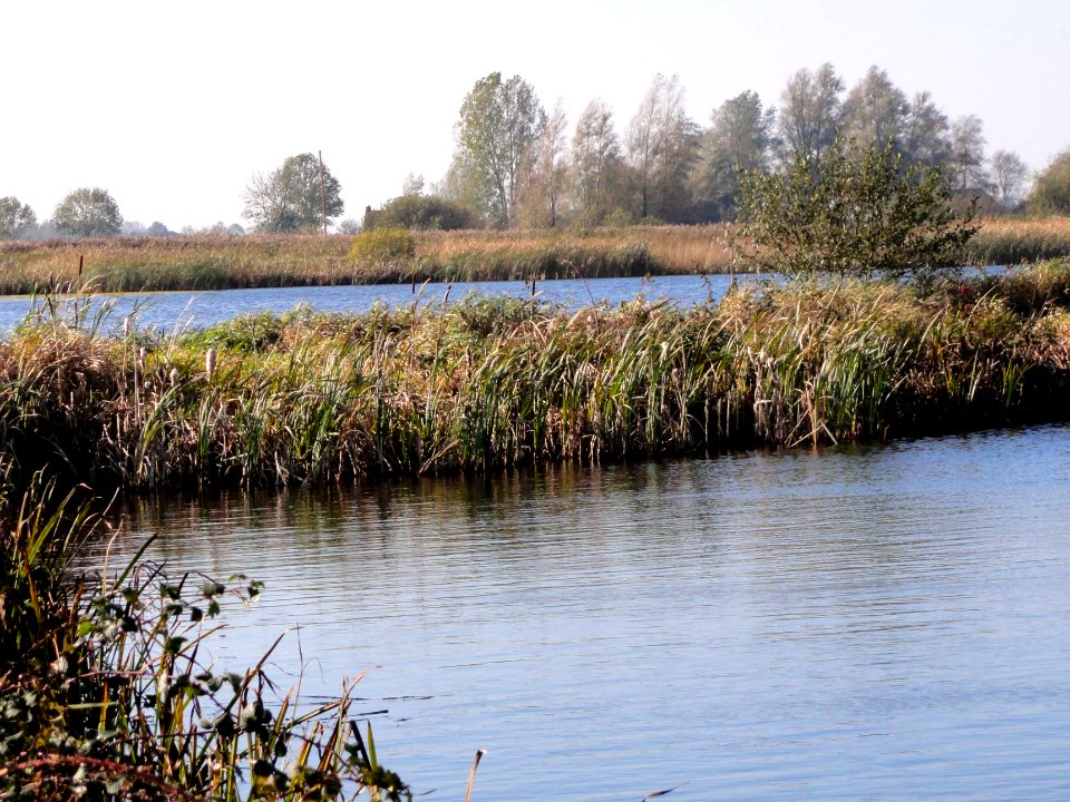 Petgaten3 in de Brandemeer