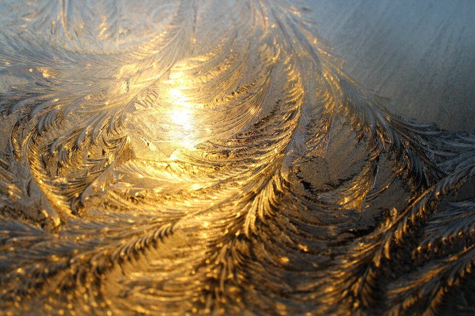 Frost eiskristalle iced