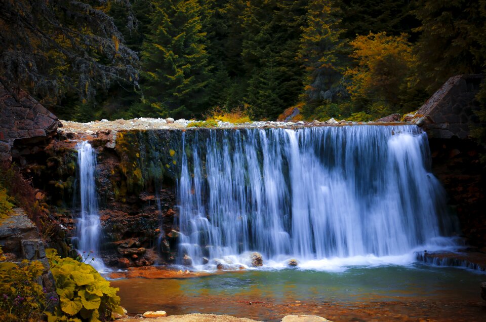 Landscape travel forest