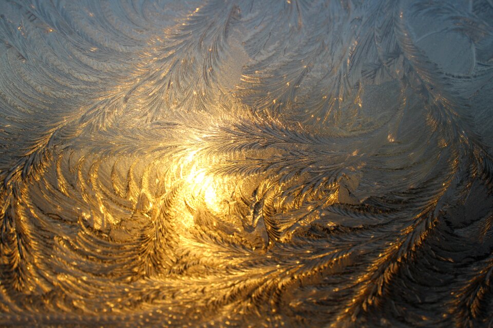 Frost eiskristalle iced