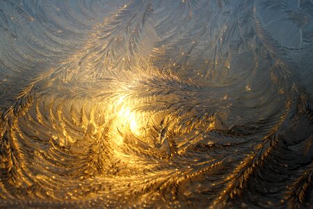Frost eiskristalle iced