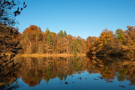 Autumn lake reflect photo
