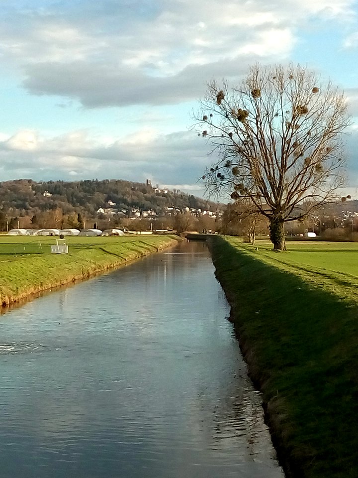 Pfinz-Entlastungskanal, Blick zum Turmberg