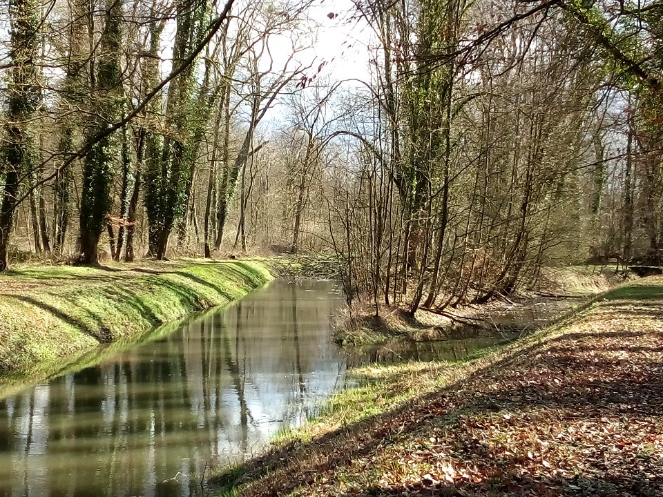 Pfinz-Korrektion, Zusammenfluss von Pfinz-Überleitung und Weingartener Entlastungskanal