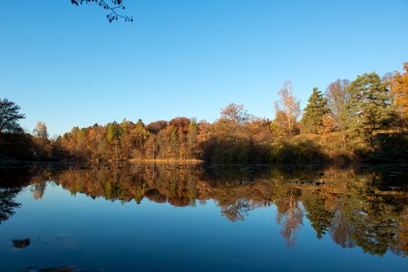 Autumn lake reflect photo