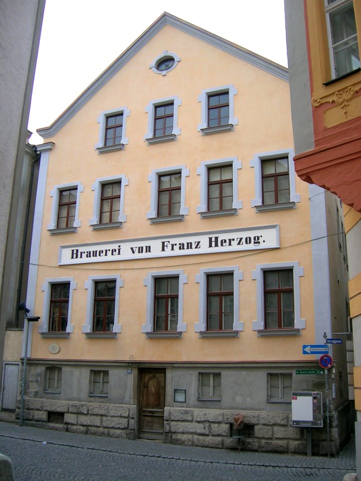 Pfahlstr 35 Eichstätt -Ostfront 2015 (1)