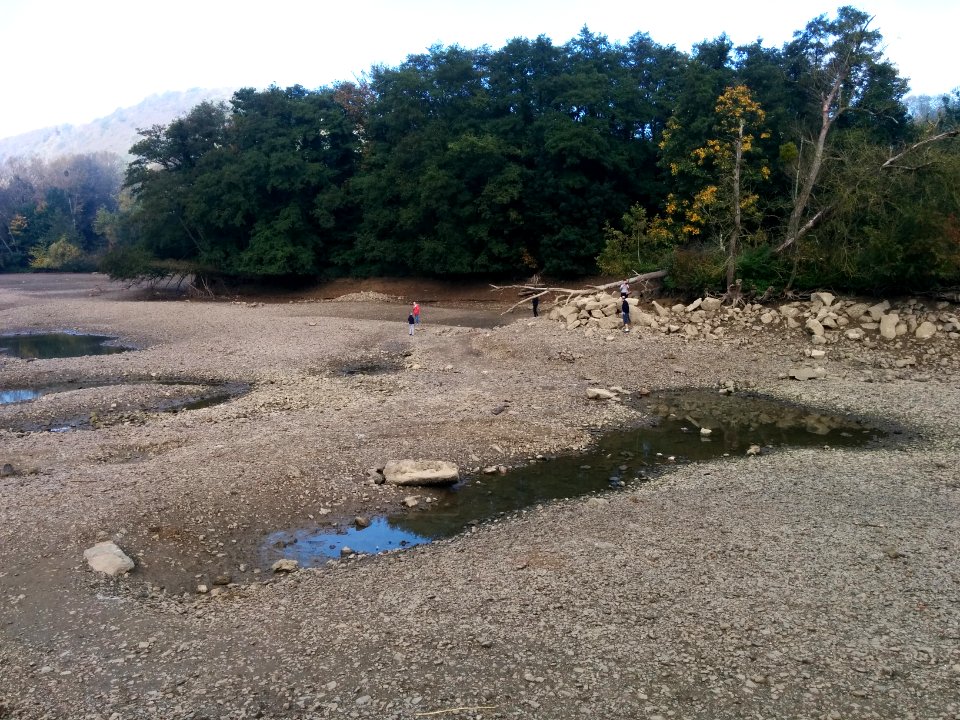 Petite Île de Godinne, chômage de la Meuse
