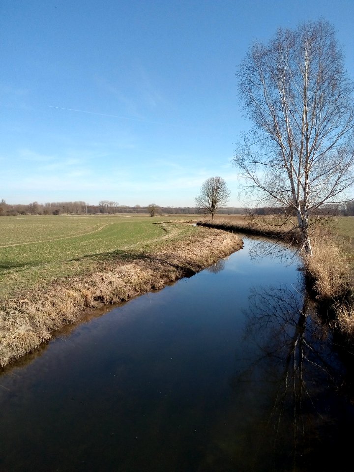 Pfinz zwischen Graben-Neudorf und Rußheim, Blick flussaufwärts