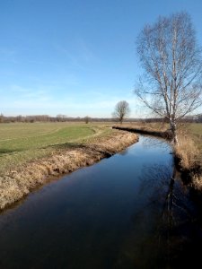 Pfinz zwischen Graben-Neudorf und Rußheim, Blick flussaufwärts