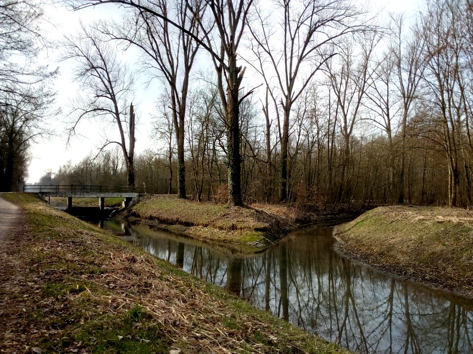 Pfinz-Korrektion, Lochenwaldwehr, Mündung Alte Bach