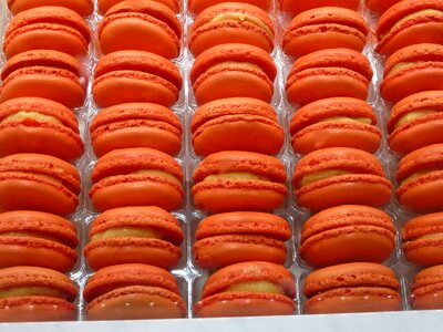 Macaron food sweet photo