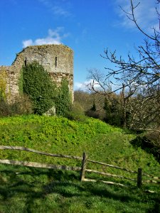 Pevensey Castle 2