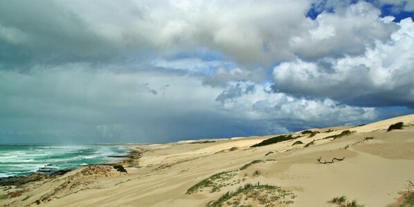 Coast sand sea photo