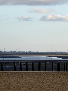 Pfähle des alten Ostanlegers auf Wangerooge