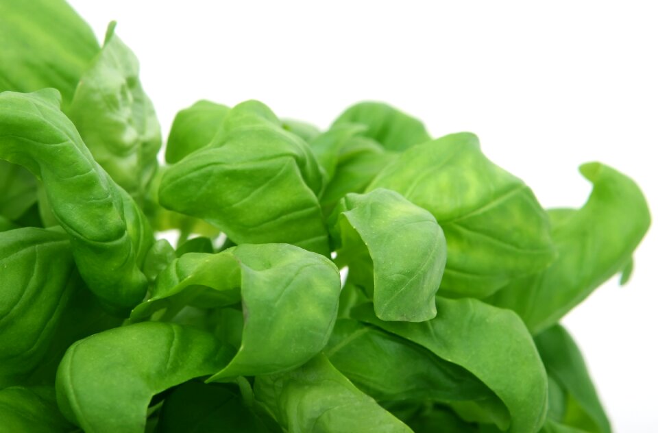 Leaf natural vegetable