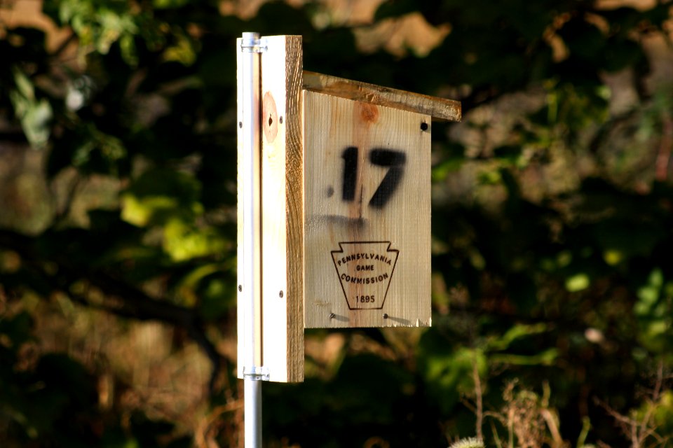 PGC birdhouse in Fayetteville, AR