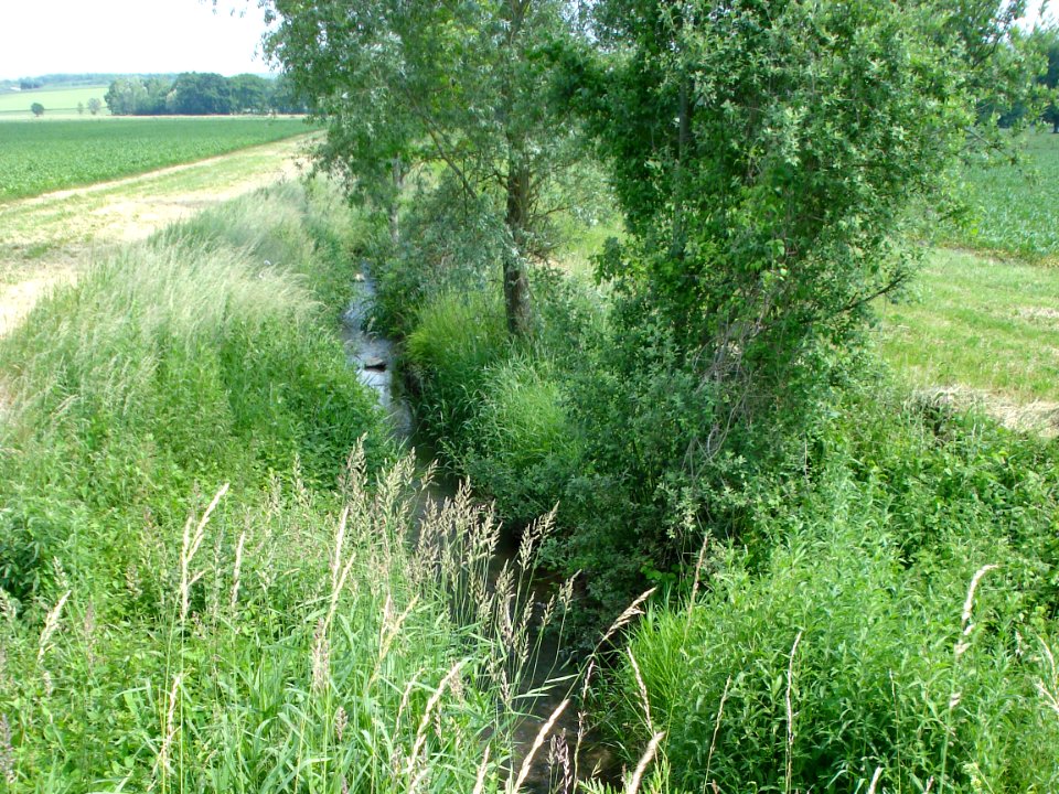 Petit ruisseau nommé Loire qui nourrit le lavoir de Roche