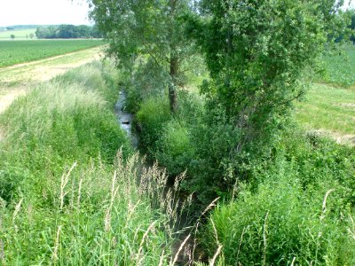 Petit ruisseau nommé Loire qui nourrit le lavoir de Roche