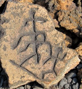 Petroglyphs in Puako Petroglyph Archaeological District1377